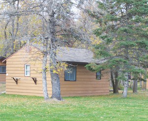 Cozy cabin surrounded by trees at Camp Arnes, offering a peaceful retreat in nature with scenic outdoor views and rustic accommodations.