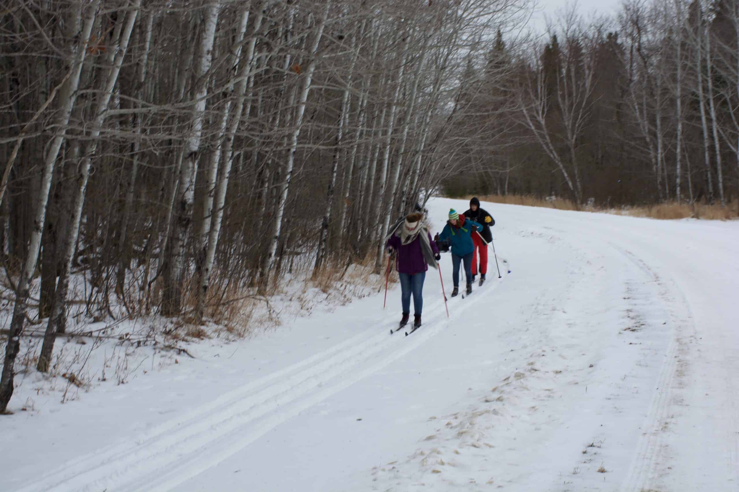 Snowshoeing scenic winter trail at Camp Arnes, Manitoba with a group of friends enjoying outdoor winter activities. Perfect for winter recreation and nature exploration.