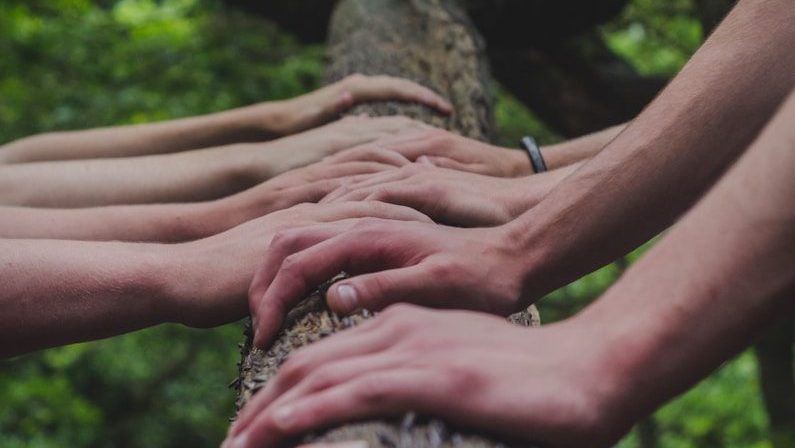a group of people holding hands on top of a tree